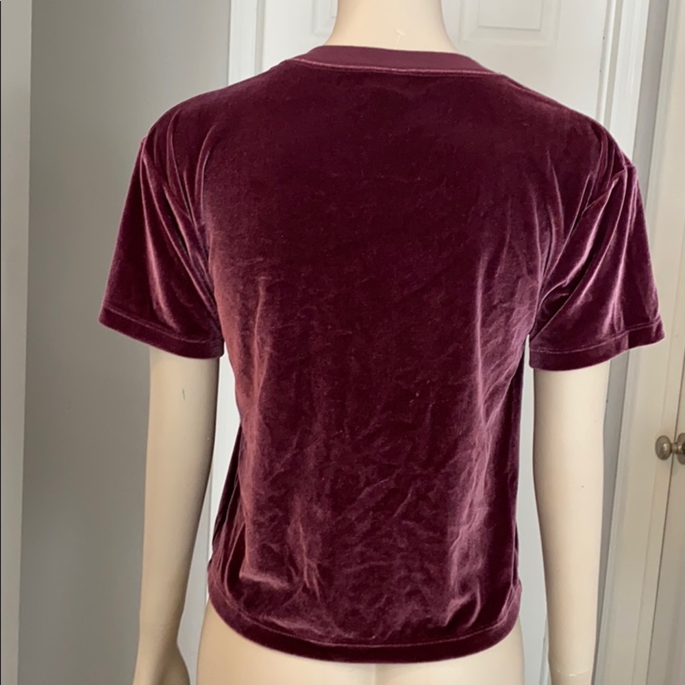 NWOT PINK short sleeve velvet crop - Picture 3 of 5